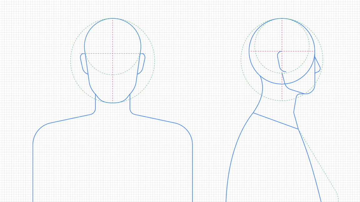 Front and profile skeleton structure example