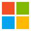 Microsoft Icon